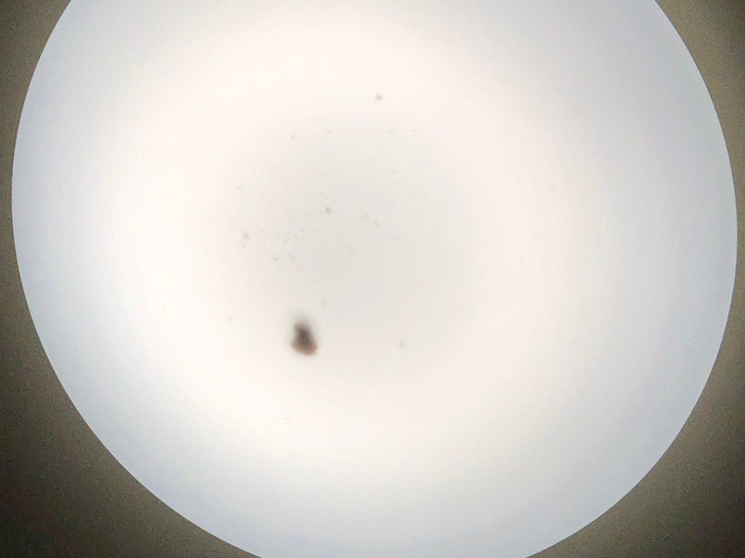 Daiichi Maruyu Ryokan