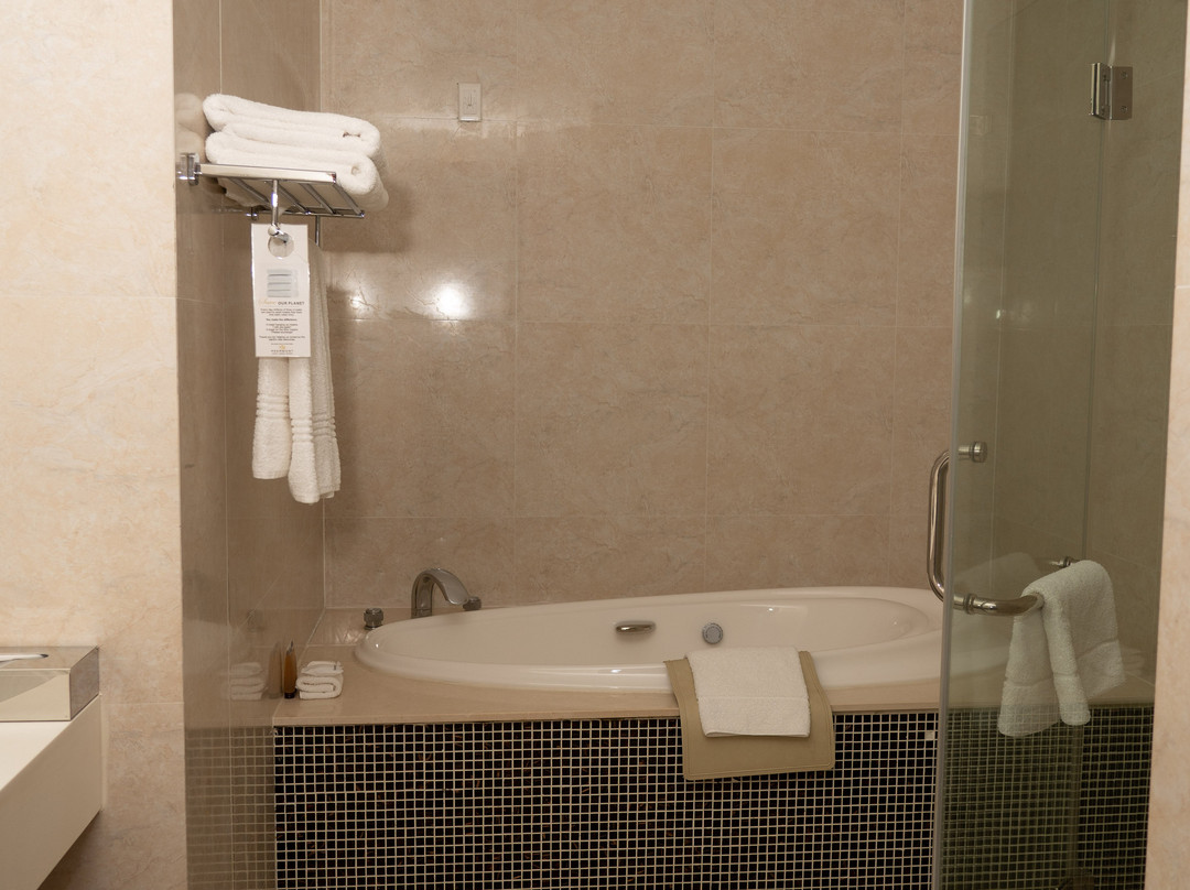 President Hotel主图