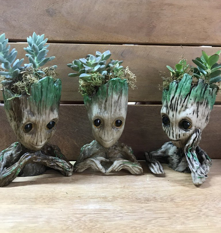 Paiol-Barra Bonita必去景点