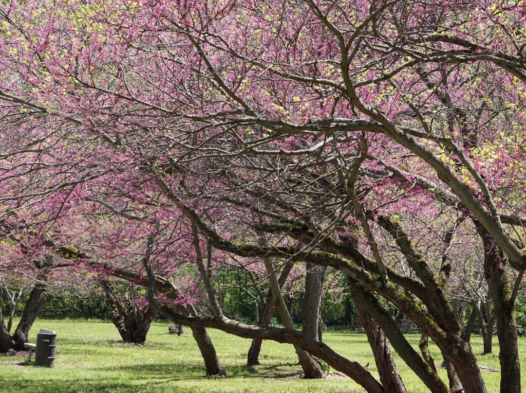 Lower Huron Metropark-Belleville必去景点