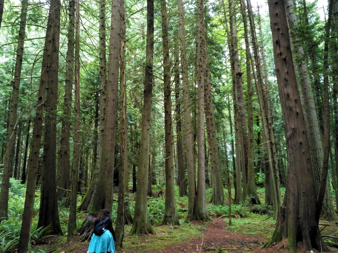 Francis King Regional Park景点图片