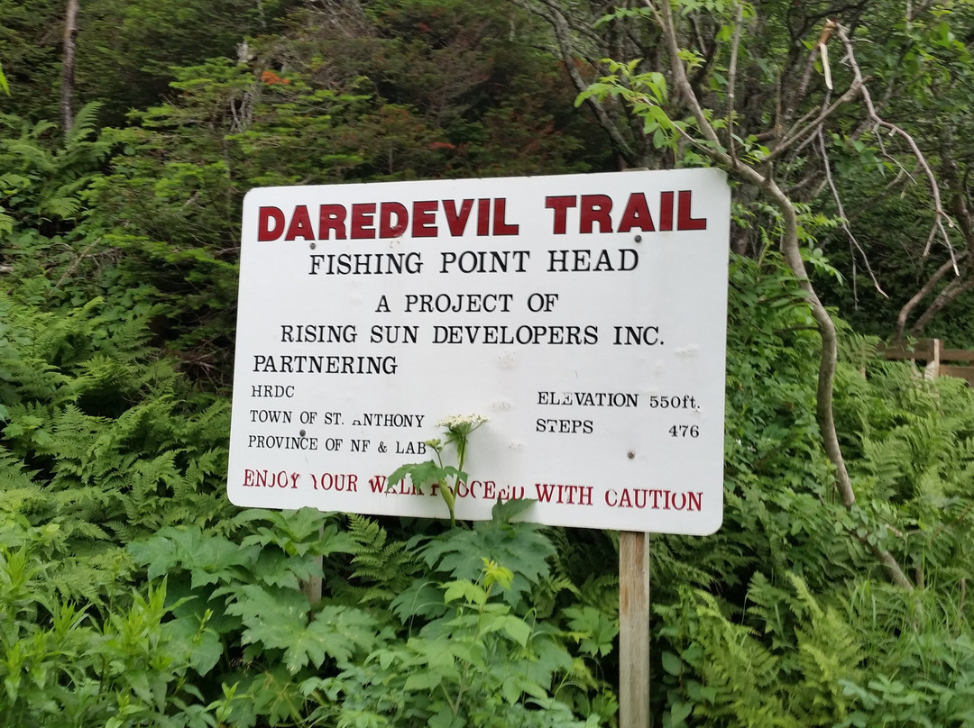 Dare Devil Trail景点图片