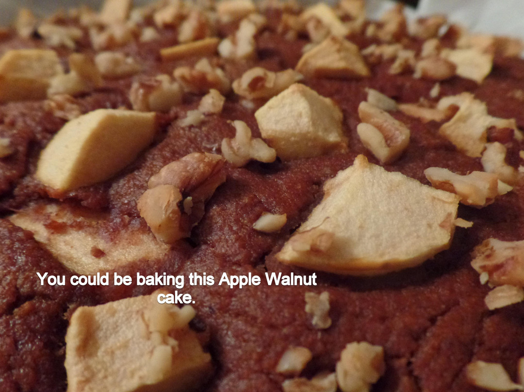 Jungle Life Herbs-O Brien必去景点