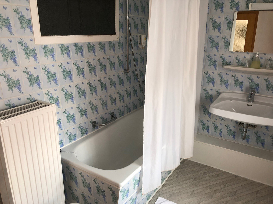 Parkhotel Deutsches Haus主图