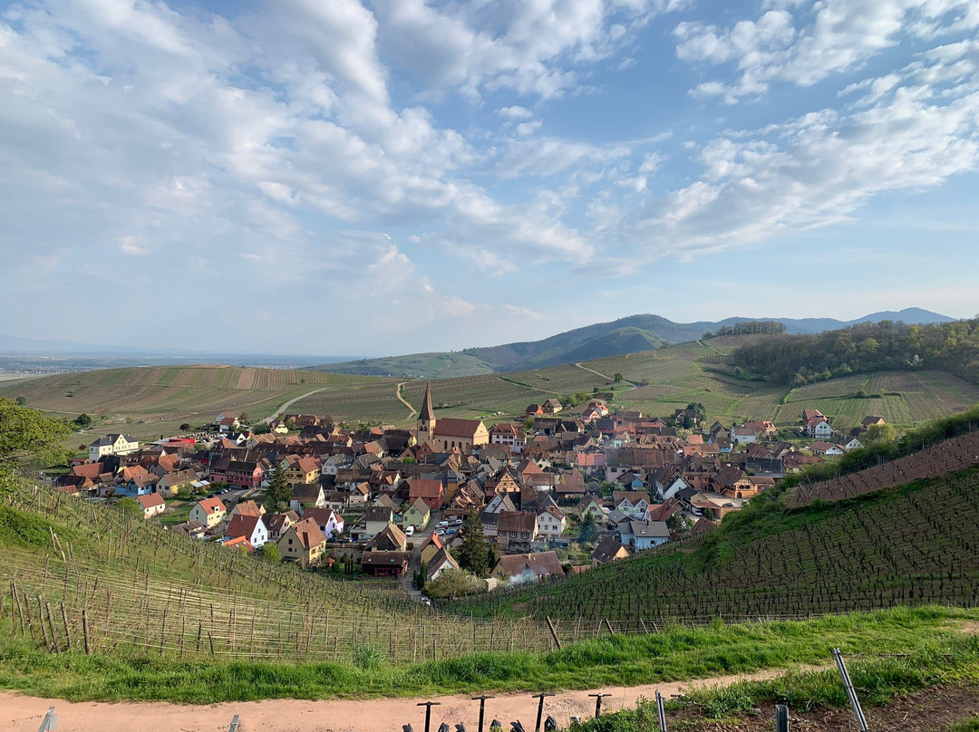 Fun Moving - gyropode Segway - Alsace Vosges Markstein景点图片