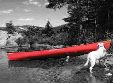 The Holy Cow Canoe Company景点图片