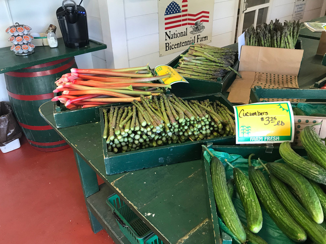 East End Bike Tours-Mattituck必去景点