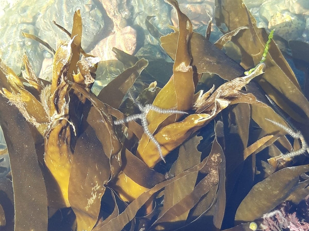 Glengair Bed & Breakfast主图