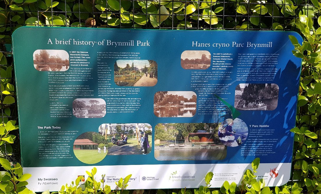 Brynmill Park景点图片