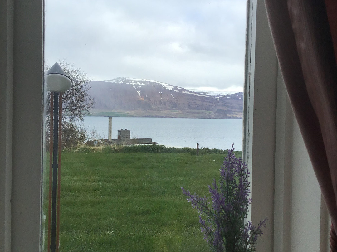 The Viking Country Club Guesthouse主图