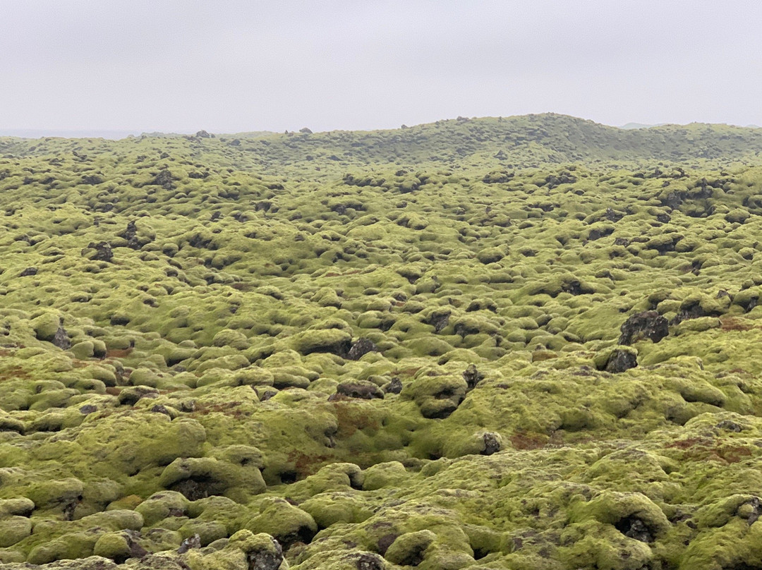 Scenic Green Lava Walk-科克拜亚克劳斯特必去景点