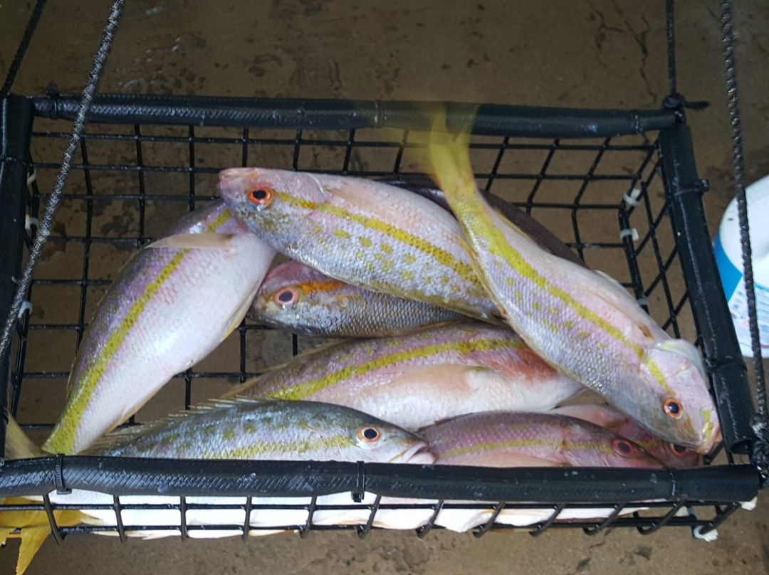 Pescaderia Angelyz Fish Market景点图片