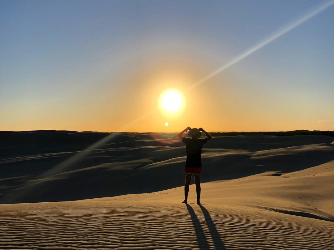 Stockton Sand Dunes景点图片