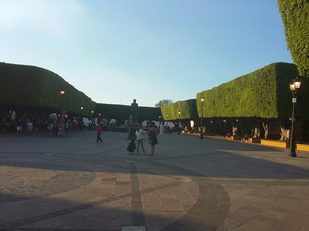 Jardin Guerrero景点图片