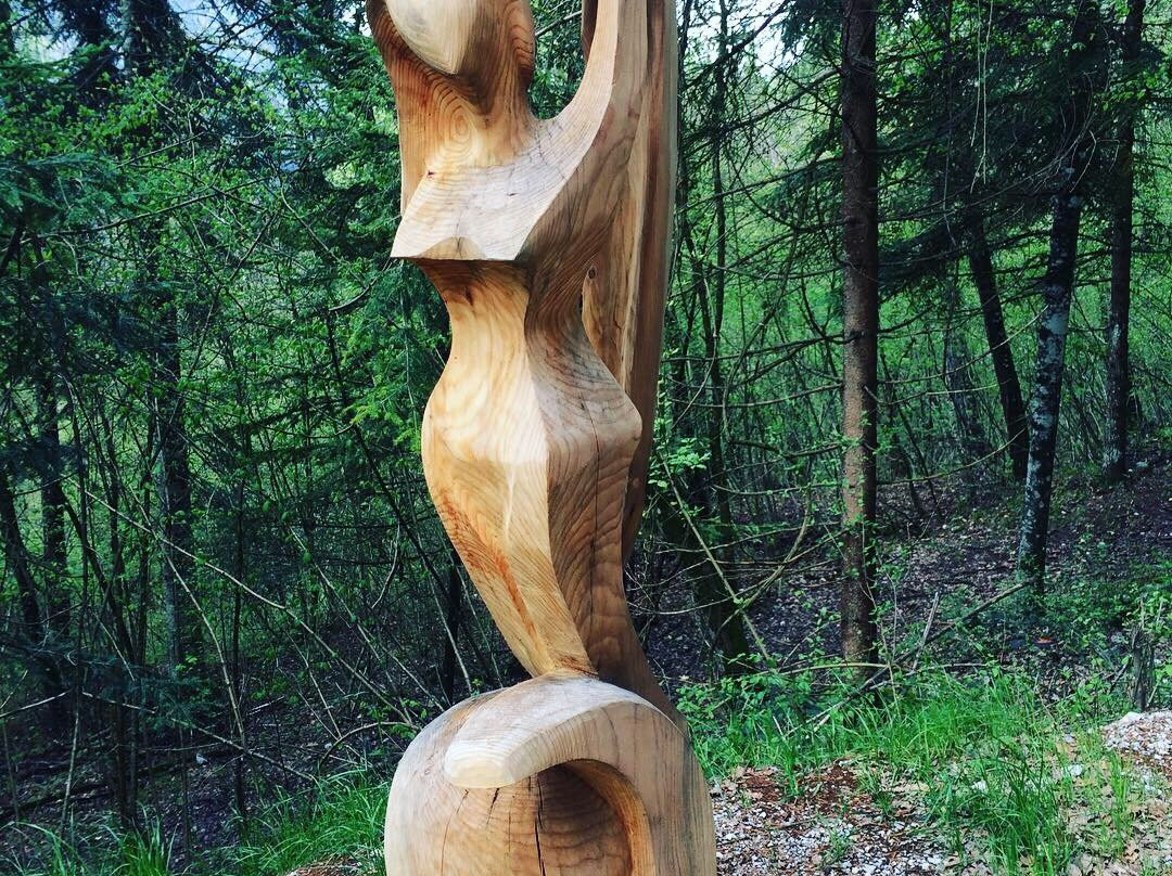 BoscoArteStenico Museo d'Arte nella Natura景点图片