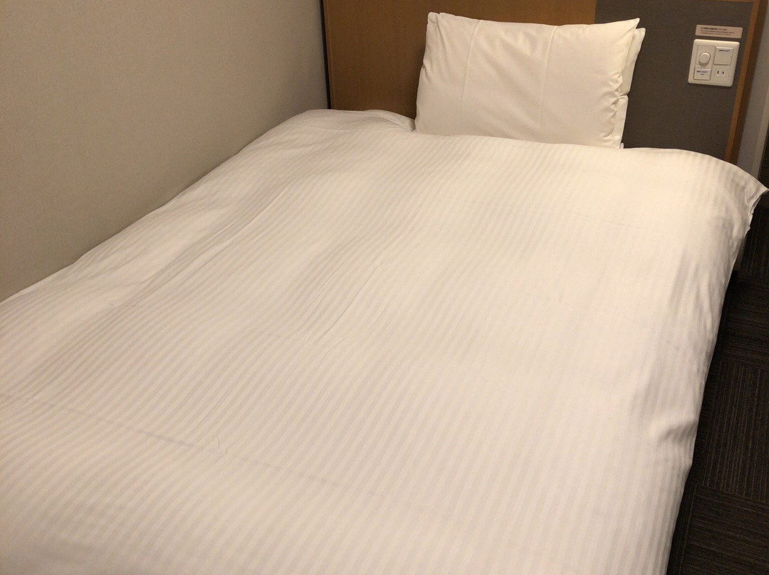 千叶苏我多美迎天然温泉酒店(多美迎・御宿野乃 酒店集团)主图