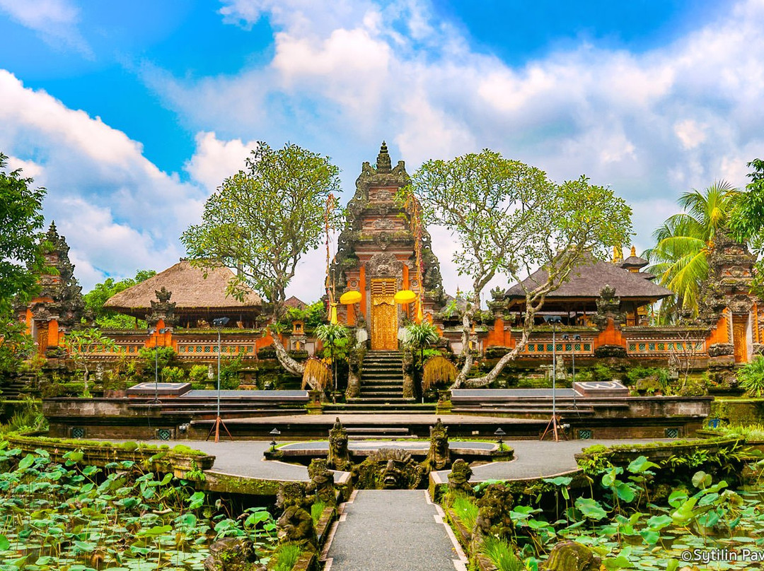 Bali Unique Driver景点图片