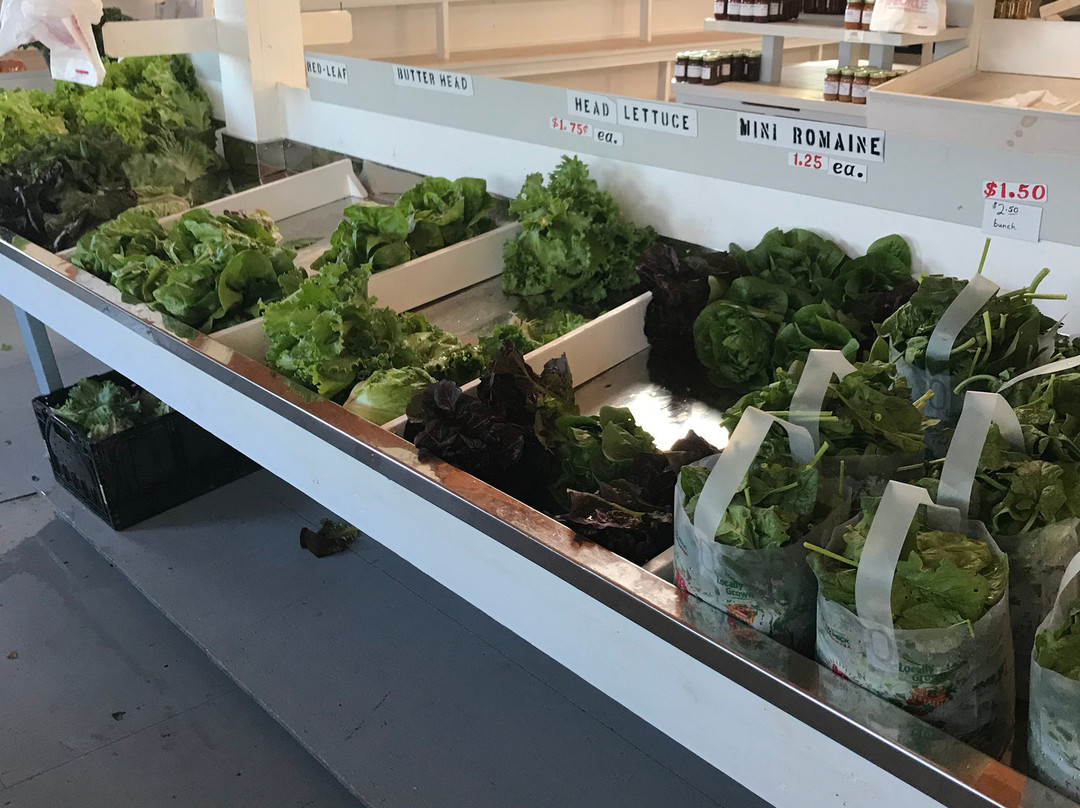 Delano Community Farm Market-Delano必去景点