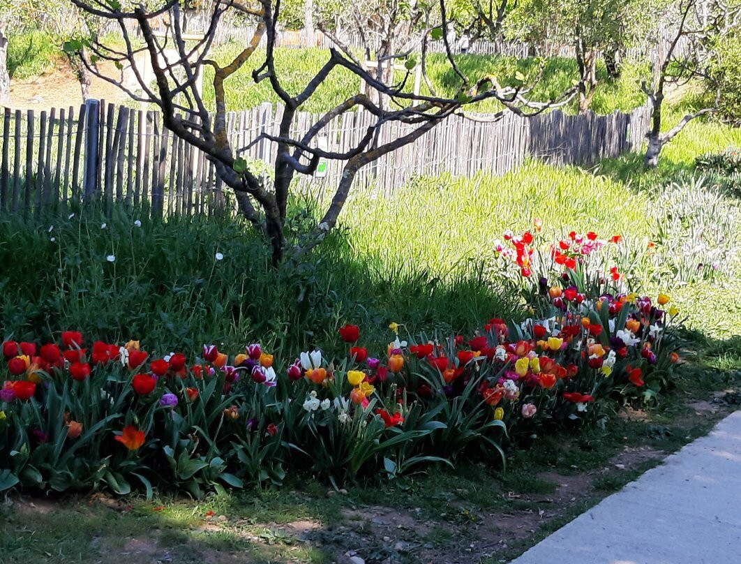 Clapiers旅游景点-Parc du Domaine de Meric