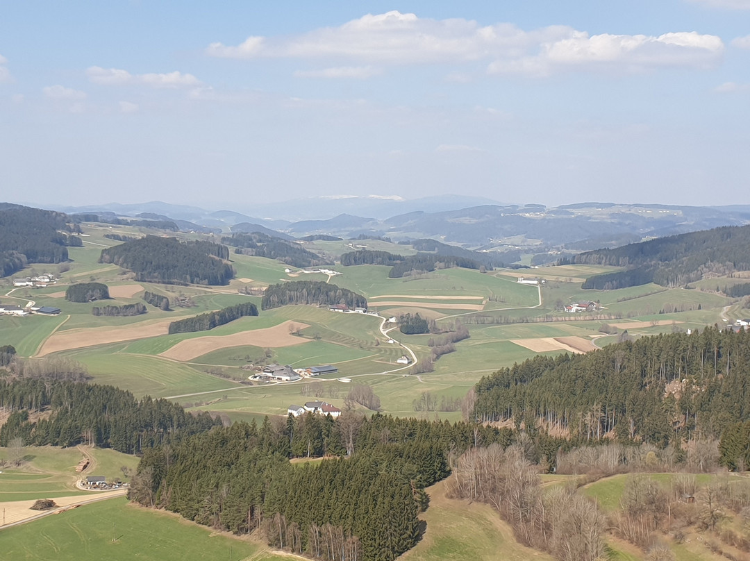 Helfenberg旅游景点-Burgruine Waxenberg