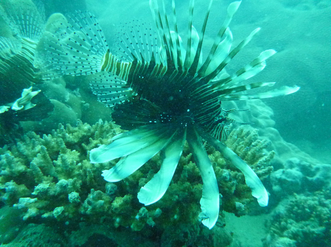 Sainte-Anne Resort & Spa主图