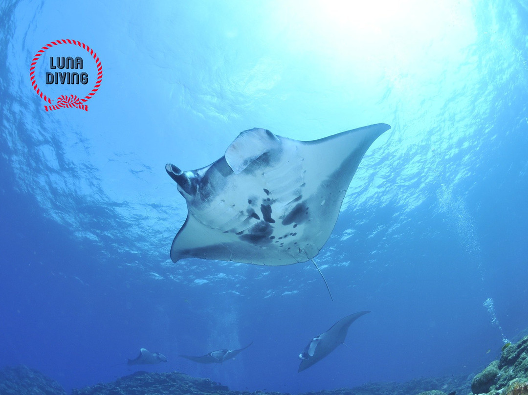 Luna Diving-拉威必去景点