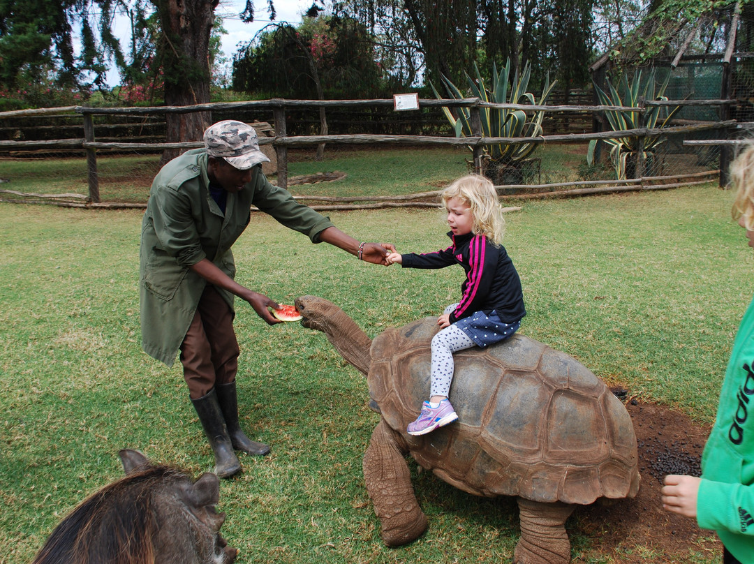 费尔蒙特山肯尼亚野生动物园俱乐部酒店主图