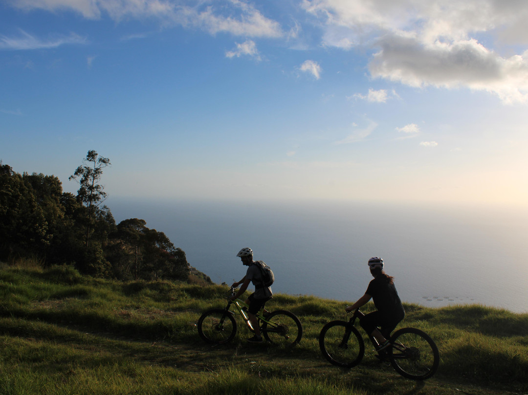 Rideandflow Mountain Biking Madeira Island-沙尔必去景点