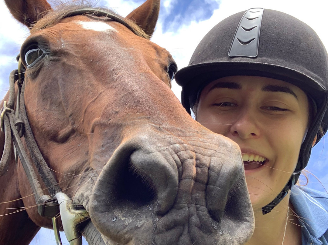 Valery Trails & Horse Riding Centre景点图片