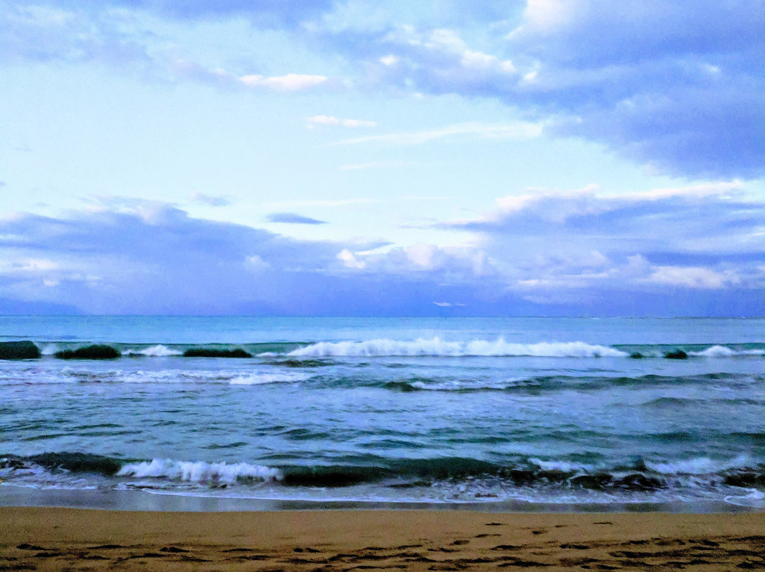 Margaritaville Vacation Club At Wyndham Rio Mar主图