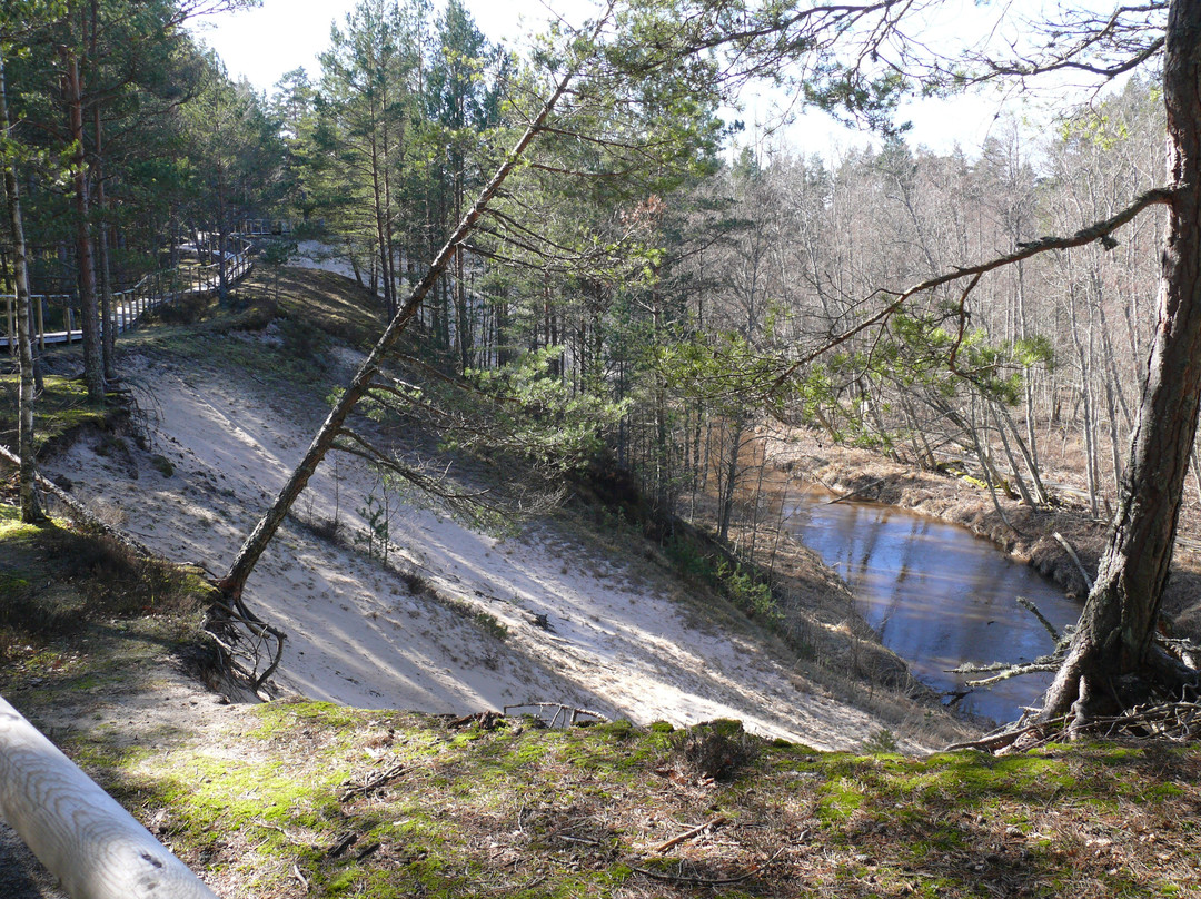 The White Dune of Pūrciems-Roja必去景点