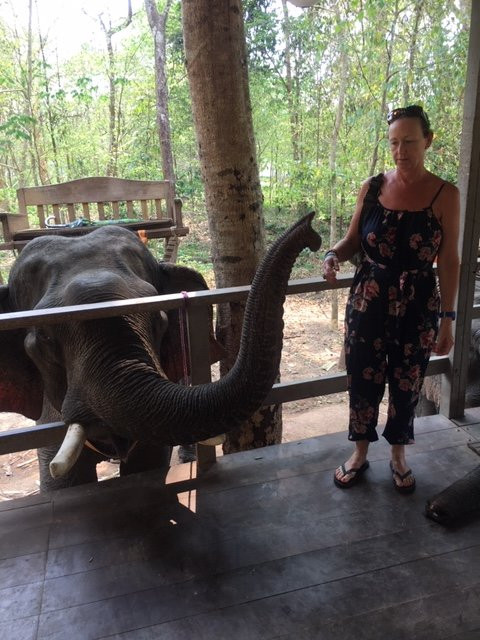Elephant Adventure Village-旺阳必去景点