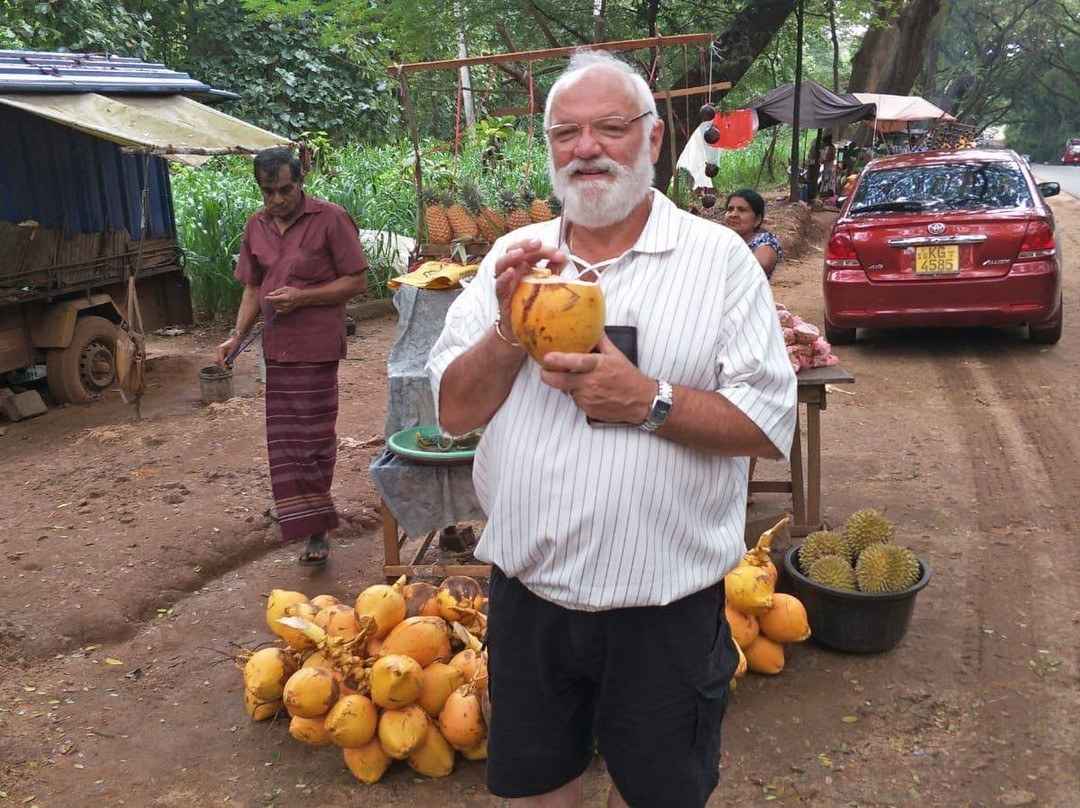 Sri Lanka Tour Driver-科伦坡必去景点