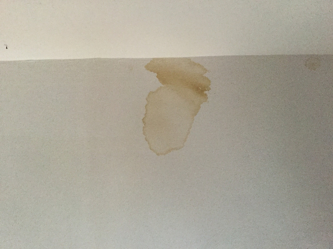 Alpenhotel Wildschonau主图