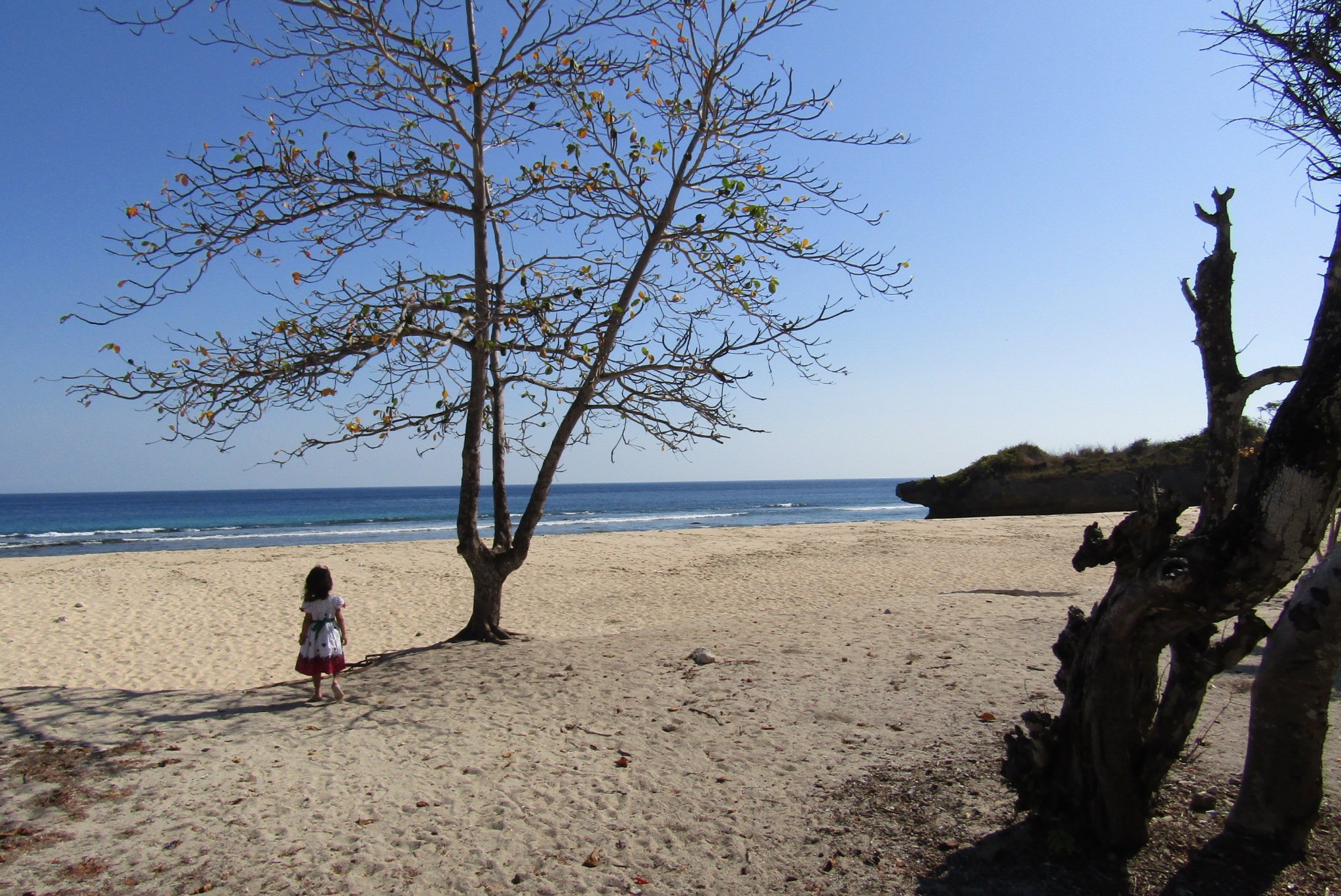Newa Sumba Resort-官方