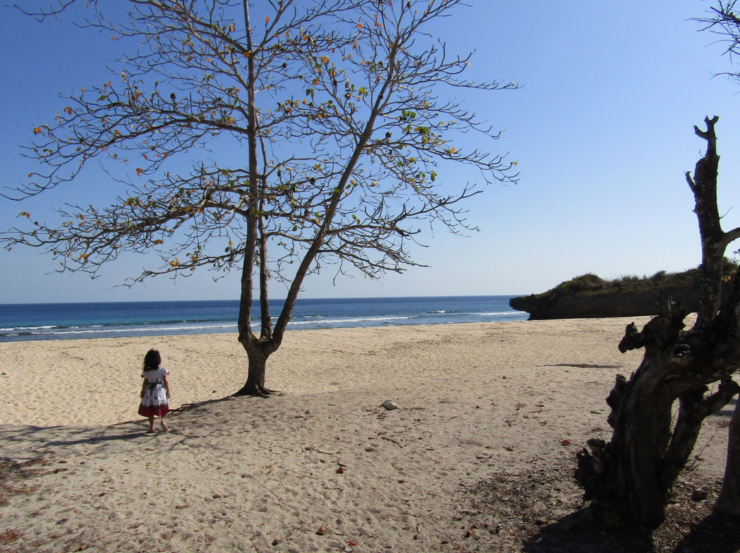 Newa Sumba Resort主图