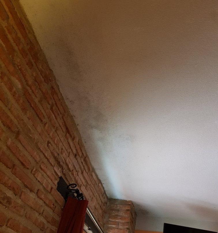 Hotel La Fuente主图