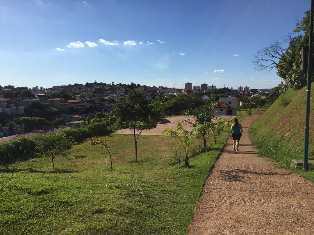 Parque Jardim do Lago - Antônio Garcia Machado景点图片