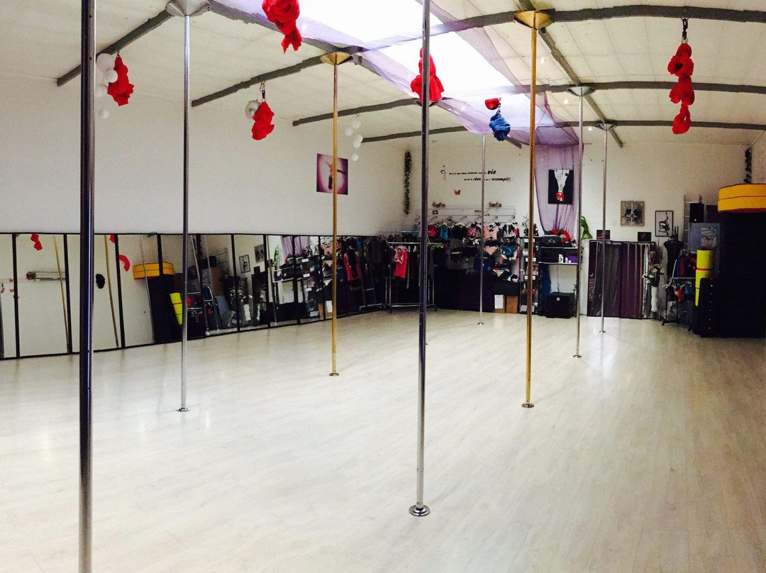 Pole Dance Stars-Gigean必去景点