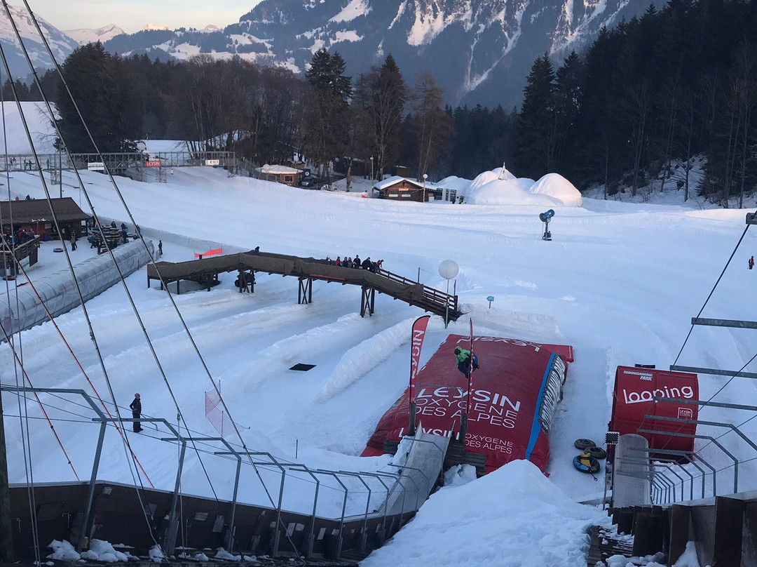 Tobogganing Park-莱森必去景点