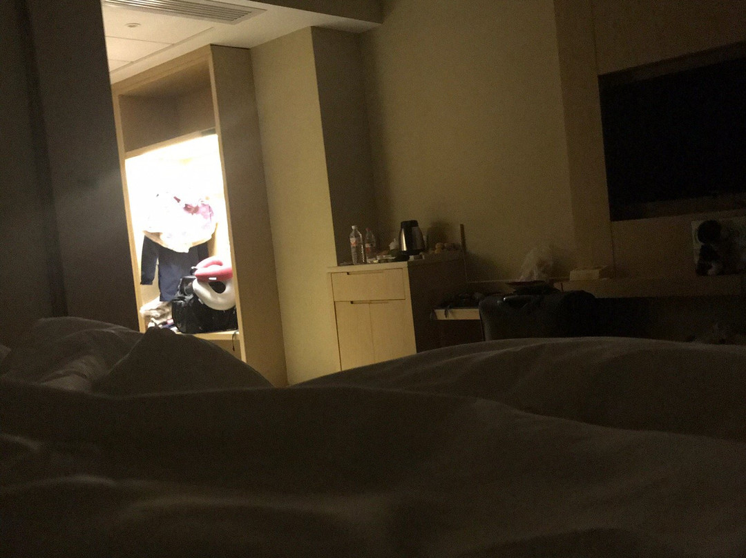 维也纳国际酒店(南宁江南万达平西夜市店)主图