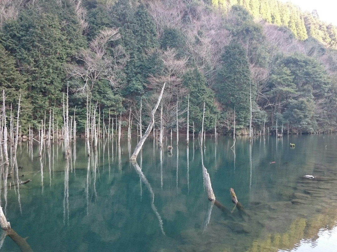 Ichinomatasakura Park-下关市必去景点