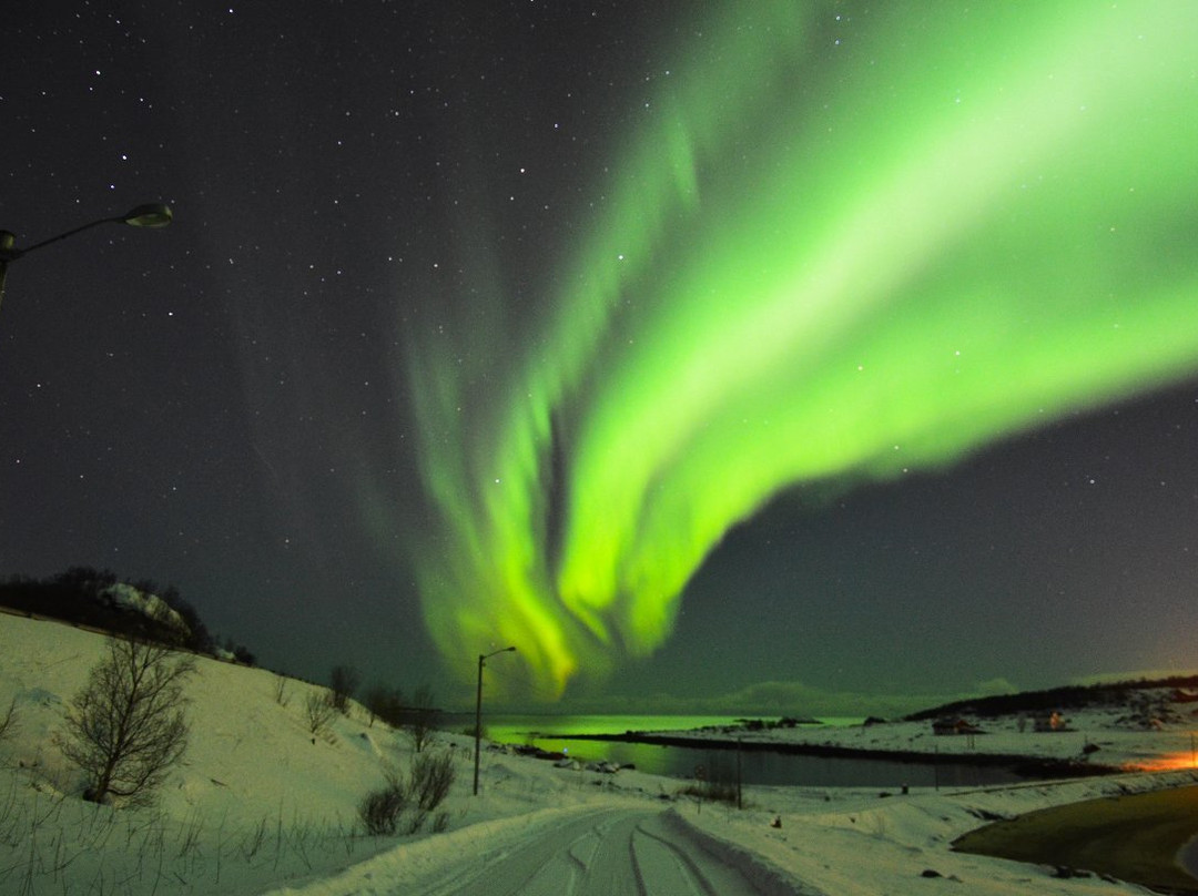 Lofoten Photo Tours景点图片