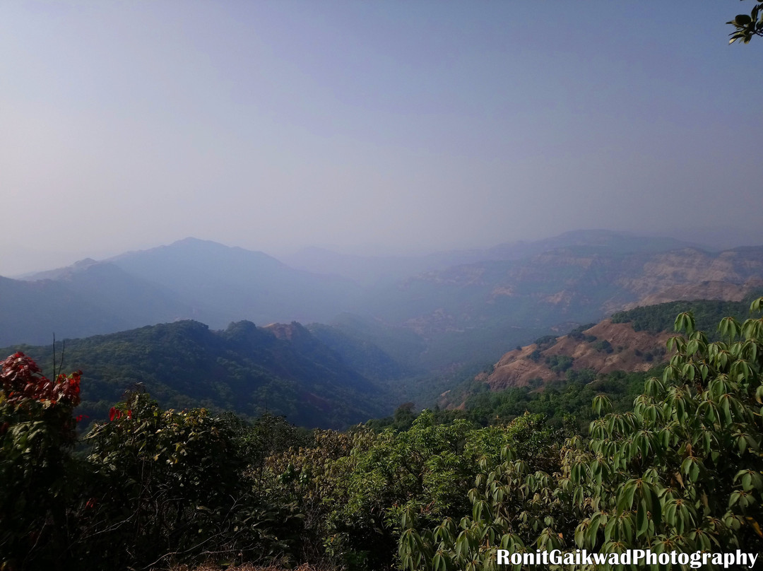 Radhanagari Wildlife Sanctuary景点图片