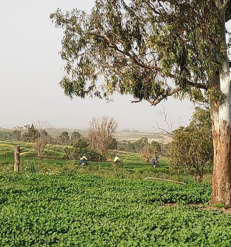 Beerot BaNegev-Sderot必去景点