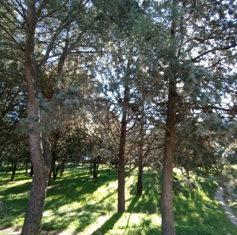 Parque Natural El Soto景点图片