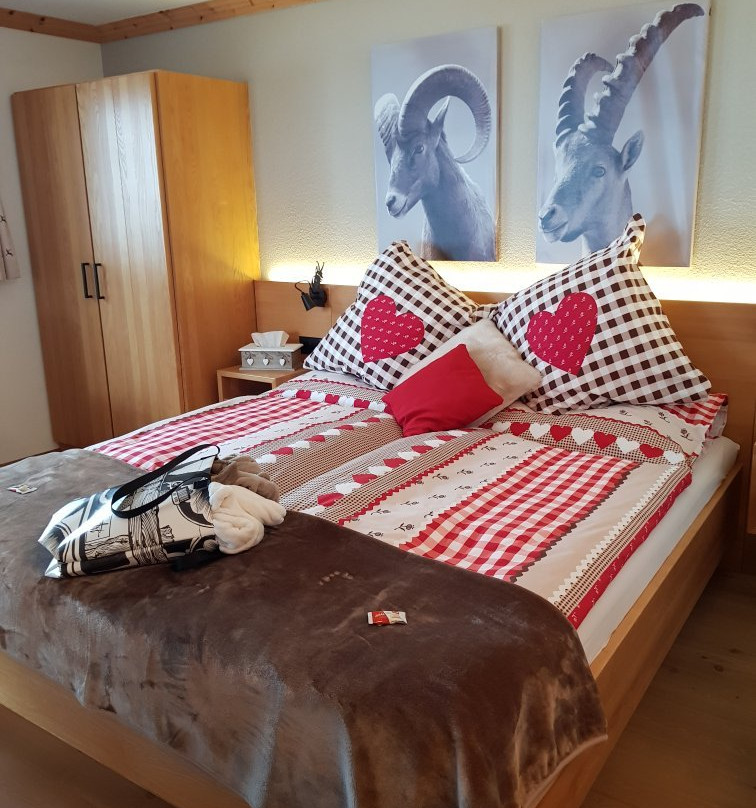 Hotel Madrisajoch主图