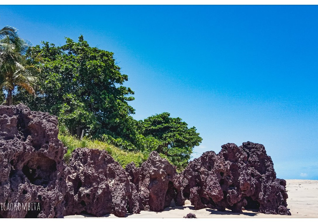 Praia dos Cacoes景点图片