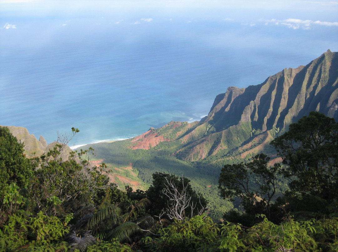 Koke'e Mountains景点图片