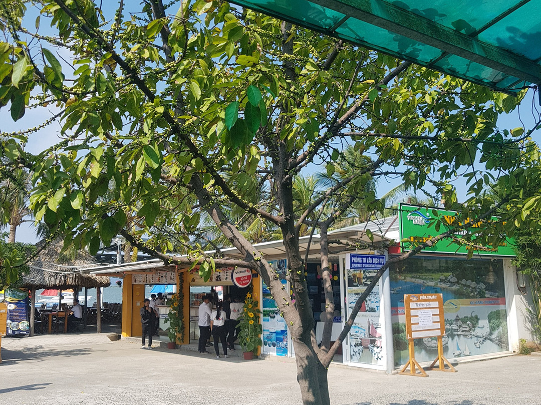 Vung Tau Marina - Day Tours-头顿必去景点